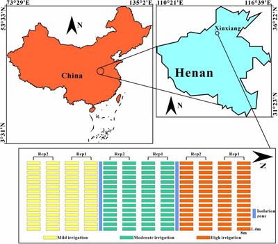 Entropy Weight Ensemble Framework for Yield Prediction of Winter Wheat Under Different Water Stress Treatments Using Unmanned Aerial Vehicle-Based Multispectral and Thermal Data